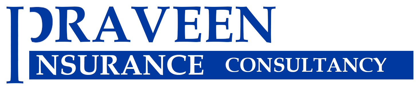 Insurance Agency Logo